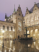 Hygieia fountain in the courtyard of the town hall, Hamburg, Germany