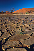 Mud cracks in dry pan, Namib desert. Namib-Naukluft National Park, Namibia