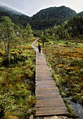 Hiking to Preikestolen, Pulpit Rock. Lyse Fjord. Lysefjord. Ryfylke District. Rogaland Region. Norway. Preikestolen is the most popular hike in Stavanger Area