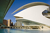 City of Arts and Sciences. The Palace of Arts 'Reina Sofia'. Valencia. Spain