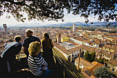 The town from the top of Torre (tower) Guinigi. Lucca. Tuscany, Italy