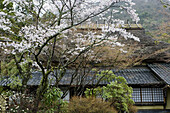 Riokan traditional inn and 'onsen' hot springs Kamenoi Besso  Yufuin, small city in the mountain close to Beppu 500m famous for its hot springs, landscape and cool climate  Island of Kyushu  Japan