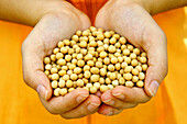 Soybeans