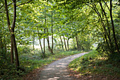 Country road. Villlabona, Guipuzcoa, Basque Country, Spain