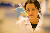 Proteomics applied. Biotechnology Laboratory, Neiker Tecnalia, Instituto de Investigación y Desarrollo Agrario, Ganadero, Forestal y del Medio Natural, Arkaute, Alava, Euskadi, Spain.