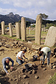 Working on the archeological site of the Stantari, at Cauria. Corsica. France