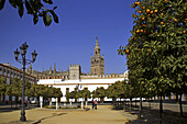 Plaza de Armas, and the Giralda tower at  Seville.