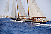 Boat race. Minorca, Balearic Islands, Spain