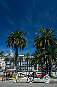 HORSE CARRIAGES ON, PROMENADE ESTERO MARGA MARGA VINA DEL MAR CHILE