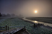 trees in grounds of bodiam castle at dawn on foggy misty winter day east sussex kent border england uk europe