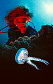Diver and Mauve Stinger (Pelagia noctiluca). Mediterranean Sea