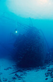 Shipwreck. Red Sea