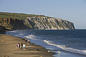 Isle of Wight, Sandown, cliffs, Hants, Hampshire, UK