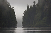 Low-lying clouds and fog in Red Bluff Bay on Baranof Island, Southeast Alaska, USA  Pacific Ocean