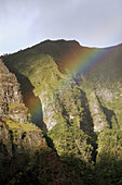 Madeira National Park. Madeira. Portugal