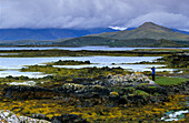 Mann schaut in der Ferne, Betraghboy Bay, Connemara, Co. Galway, Republik Irland, Europa