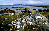 Küstenlandschaft mit Felsen und Algen, Betraghboy Bay, Connemara, Co. Galway, Republik Irland, Europa