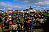 Ballinasloe, der traditionelle Pferdemarkt, Co. Galway, Republik Irland, Europa