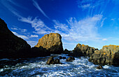 Rocks on shore in the sunlight, County Antrim, Ireland, Europe
