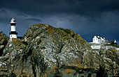 Leuchtturm am Dunagree Point, Halbinsel Inishowen, County Donegal, Irland, Europa