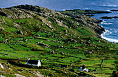 Küstenlandschaft mit Cottage und grünen Wiesen, Derrynane Bay, Ring of Kerry, County Kerry, Irland, Europa
