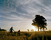 Mutter und Kinder wandern durch hohes Gras bei Sonnenuntergang bei Haast, Südinsel, Neuseeland