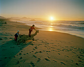 Kinder spielen mit Treibholz am Strand bei Sonnenuntergang, Okuru Beach, Westküste, Südinsel, Neuseeland