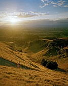 Jogger auf einer Landstrasse auf Te Mata Peak bei Sonnenuntergang, Hawke's Bay, Nordinsel, Neuseeland