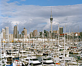 Many yachts at Westhaven Marina under clouded sky, Waitemata Harbour, Auckland, North Island, New Zealand