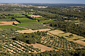 View at lowlands with fields and olive trees, Vaucluse, Provence, France