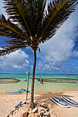 Karibik, Niederländische Antillen, Bonaire, Lac Bay Surfer