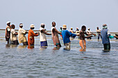 Fishermen pulling nets out of the sea, Kenya, Africa