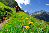 Blumenwiese mit junger Frau außerhalb des Schärfebereichs auf Wanderweg, Aufstieg zur Memminger Hütte, Lechtaler Alpen, Tirol, Österreich