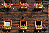 flower decorated windows at farmhouse, Ötztal range, South Tyrol, Italy