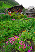 garden of farmhouse and restaurant Jägerrast, valley Pfossental, Texelgruppe range, Ötztal range, South Tyrol, Italy