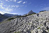 Karrenfeld, Steinernes Meer, Berchtesgadener Alpen, Salzburg, Österreich