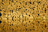 Felsblöcke am Ufer spiegeln sich im Kreuzsee, Schobergruppe, Hohe Tauern, Nationalpark Hohe Tauern, Kärnten, Österreich