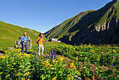 Paar auf Wanderweg durch Blumenwiese vor der Kemptner Hütte, Allgäuer Alpen, Allgäu, Schwaben, Bayern, Deutschland