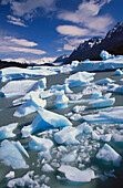 Glacial blue ice of Grey Glacier, Torres del Paine National Park. Chile