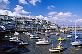 Harbour, Brixham. Devon, England, UK