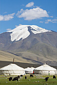 Mongolia. Bayan Olgii province. Kazak yurt camp on the Tsambagarav National Parc. Kazak population.