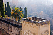 View from the alcazaba, Alhambra, Granada. Andalucia, Spain