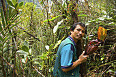 Botanist Ansou Gunsalam showing carnivorous plant (Nepenthes burbidgeae), Kinabalu National Park. Sabah, Borneo, Malaysia