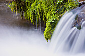 Natural Monument waterfalls of Huesna. Sierra Morena. Natural Park of 'Sierra Norte'. Spain.