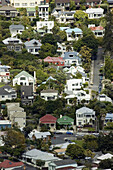 Houses, Ponsonby, Auckland, North Island, New Zealand