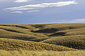 Lammermoor Range, Old Dunstan Trail, Central Otago, South Island, New Zealand