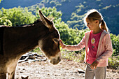 Mädchen streichelt einen Esel, Eselwanderung in den Cevennen, Frankreich, Europe