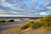 Dunes, Ellenbogen, Sylt Island, Schleswig-Holstein, Germany