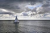Segelboot auf der Nordsee bei Munkmarsch, Sylt, Schleswig-Holstein, Deutschland