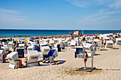 Strandkörbe, Strand, Westerland, Sylt, Nordfriesland, Schleswig-Holstein, Deutschland